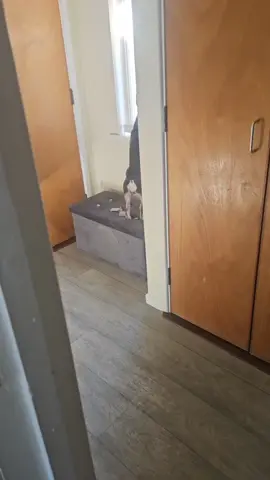 #mycoco 