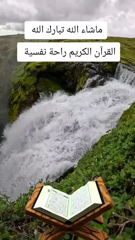 # وليد ابراهيم القران الكريم  # القرآن الكريم راحة نفسية #fyp 