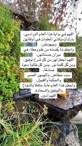 #معلمات#عودة #مدارس #السعودية🇸🇦 #معلمين_معلمات 