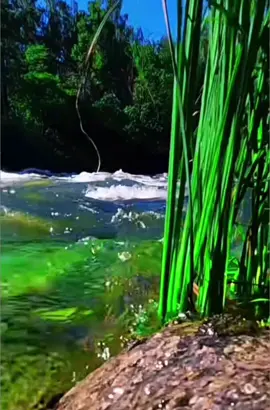 مناجاة إمير المؤمنين عليه السلام الهم إني أسألك الأمان يوم لا ينفغ مال ولا بنون الأ من أتي الله بقلب سليم وأسألك الأمان يوم يعض الظالم على يديه يڤول، يا ليتني اثخذت مع الزشول سبيلاfyp₩ #viral #foryou #fypシ