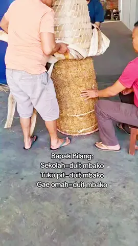 Opo² gowo duit mbako..😍 #TMtobacco  #fypシ゚viral 