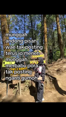 la py wong fomo ok🫰🏻 #fyppppppppppppppppppppppp #fypage #zyxcba #pendakigunung #fypシ゚viral #pendaki #4u 