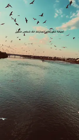 #متابعه #لايك #الموصل_ام_الربيعين #العراق_السعوديه_الاردن_الخليج #تصويري_احترافي_الاجواء👌🏻🕊😴 #كركوك_محافظه #بغداد_بصرة_موصل_الكويت_الخليج_دبي_ #تصويري_احترافي_الاجواء👌🏻🕊😴 #الشعب_الصيني_ماله_حل😂😂 