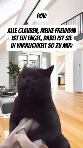 HILFE #memesvideos #memeviral #memepage #memesdaily😂 #Meme 