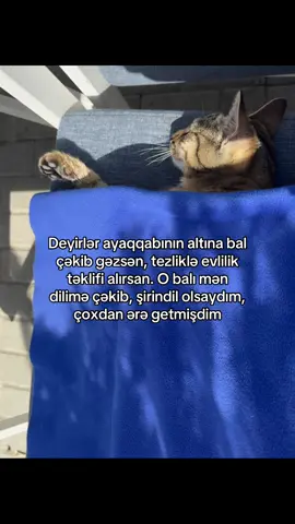 Yaşasın hamını it kimi qapan qızlar😂