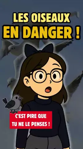 Les Oiseaux sont en danger, et ce n’est pas une BLAGUE ! 🐦 Abonne-toi 🩷 #oiseau #oiseaux #oiseauxexotiques #oiseauxdujardin 