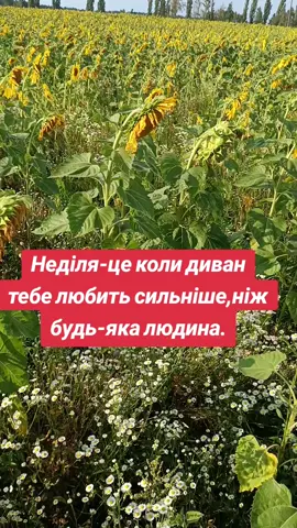 #анекдот #сміх #позитив #рекомендації 