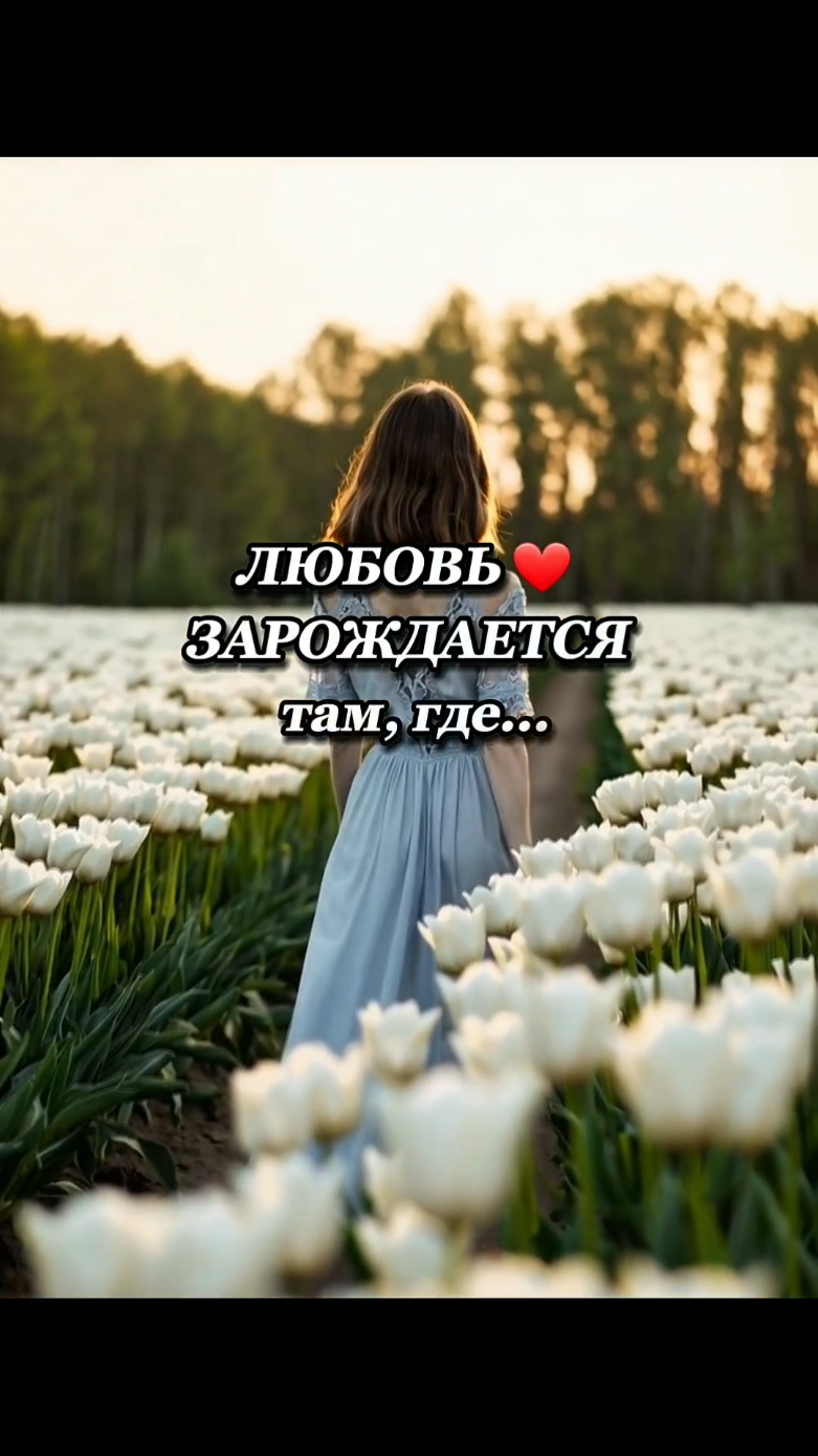 А ДЛЯ ТЕБЯ ЧТО ЗНАЧИТ НАСТОЯЩАЯ ЛЮБОВЬ?🤔 #любовь❤️ #отношения #мужчинаиженщина #жизненныйпуть #правдажизни #Love #beziehung #психология #мудрость #уважение #семья #жизнь #tiktok #fyp 