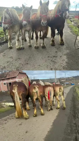 Un pic de marfă 