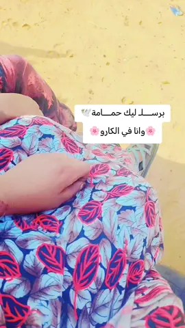 #برسل لك حمــــامة 🕊#مليون_مشاهدة❤ 