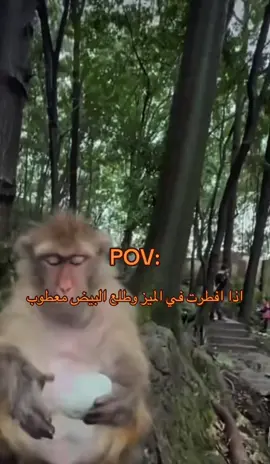 #fyp 