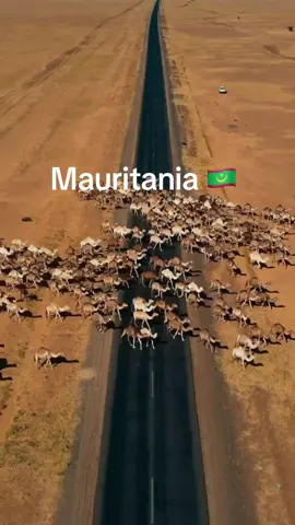 MAURITANIA 🇲🇷 #nouakchott🇲🇷 #mauritania🇲🇷 #arab #africa #vue 