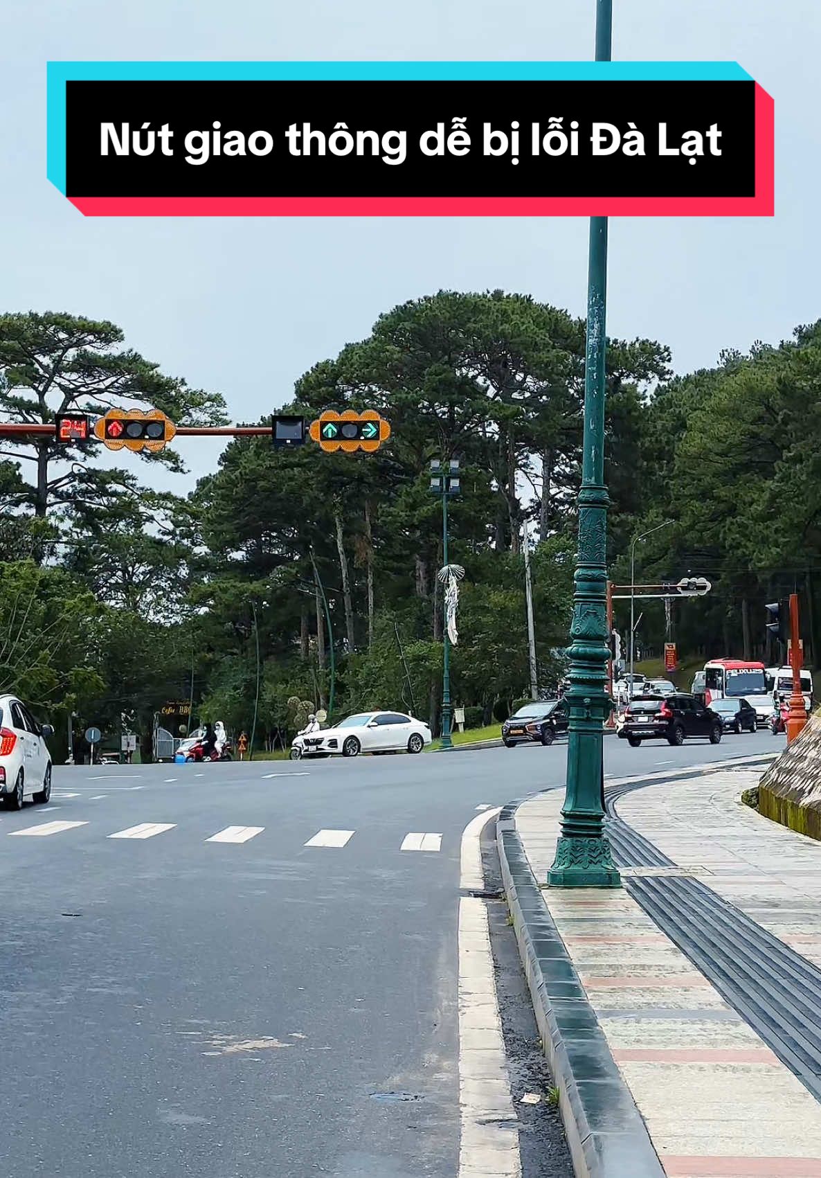 Đi Đà Lạt nên nắm rõ luật nút giao thông chỗ này nếu ko muốn bị lỗi tốn tiền nha. #dalat #reviewdalat #ongboreviewdalat #dalatreview 