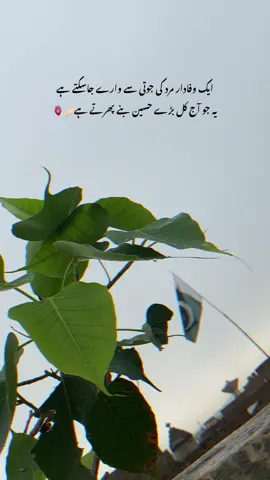 #fyp #forupageシ 