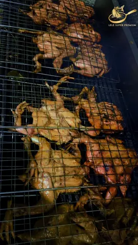 Ayam bakar taliwang dengan ayam kampung super organik 🔥 Pemesanan WA 0811384548