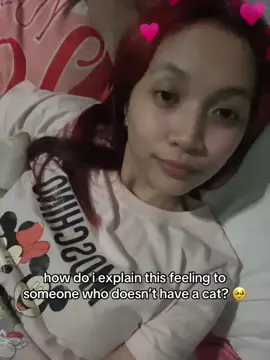 my clingy yeyen #fyp #catsoftiktok 