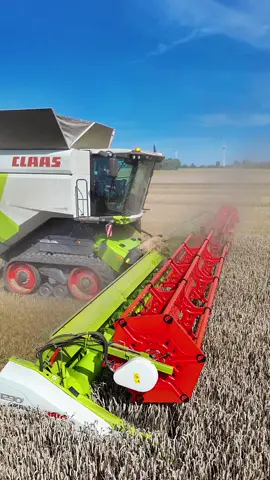 🌾 Weizenernte -XXL- 🌾🚜💨 @Landwirtschaftsbetrieb Uplegger  Ernte2025 Hochbetrieb unmittelbar der Ostseeküste im Herzen von MV . @raineruplegger329  @Paul  . . #ernte2025📸🌾🚜 #mecklenburgvorpommern  #landwirtschaft  #agriculture  #immervorwärts  @Fendt Global  @Claas 