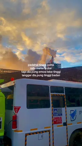 botol yakult #ambontiktok #lewatberandafyp #storyambon #lewatberanda #ambonpride🏝 