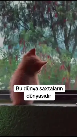 üžlər gördük gülməyim gəlir 
