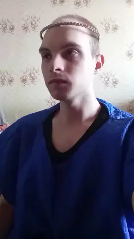 пародия на бременские музыканты