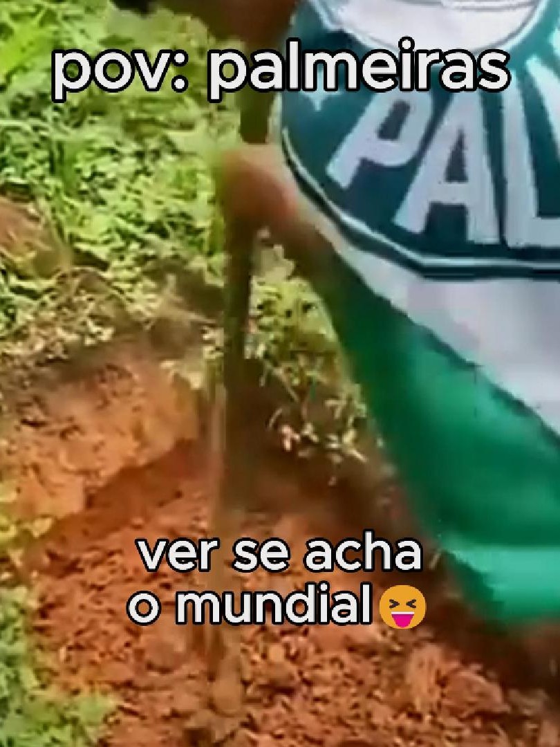 palmeiras tem ou não mundial? #humor #engraçado #palmeiras #perolasbrasileiras