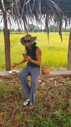 เเมวขโมย😂😂😂#คลิปนี้ต้องฟีด 