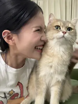 #kitty #cat #cutecat #funnycat #catsoftiktok 
