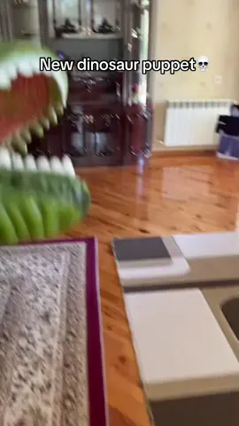 New dinosaur puppet💀 #fyp #foryou #viral #meme #memes