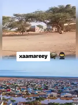 #CapCut🇸🇴🆎️🇱🇸🇸🇱 #cxamareey yaa ku xaal marin#africantiktok #peopleofsomaliatiktok2023🇸🇴🇸🇴👌✅ #peopleofpuntlander🇸🇱 #galmidug🤍💙💚🇸🇴💉 #hirshabeeletiktok #ugaadeentiktok #jubalandtiktok🇱🇺 #hiiraanstate🇸🇧🔥 #ssckhaatumostate💙🐎🤍 #psf #pmpf #ciidamadaxoogadalkasomalia💪🇸🇴 #