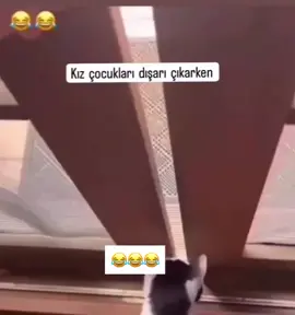 #🤣🤣🤣 