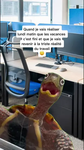 #MemeCut #Meme #humour #pourtoi #pourtoii 