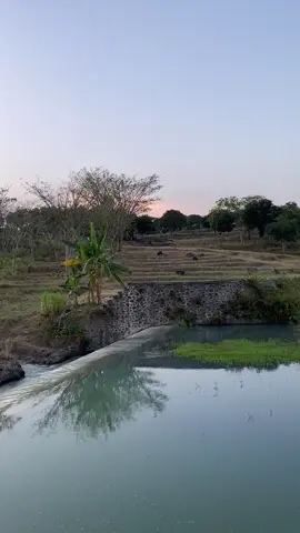 Banyu ne wes kalong #waduk #sangiran #waduksangiranngawi #waduksangiranfyp #waduksangiran 