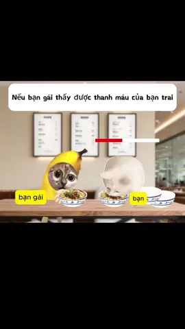 cái đó quan trọng lắm hả các chàng trai #vuive #memecat 