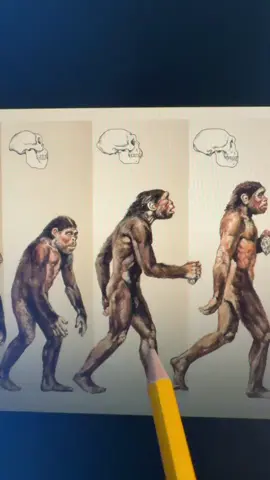 Evolution is about your soul #spiritualawakening #astrology 