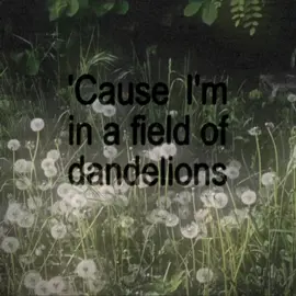 Wishing on dandelions all of the time  #ruthb #dandelions #editaudio #lyrics #audios 