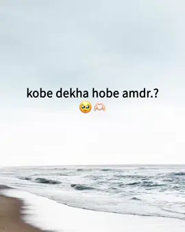 kobe dekha hobe amdr.?  🥹🫶🏻 #_tawhid_138 