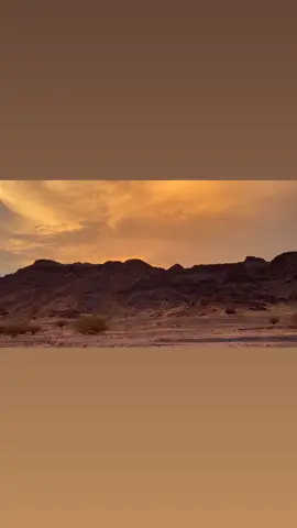 #المدينة_المنورة♥️🌴#البيضا#اكسبلووووورررر 