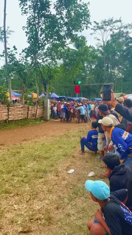 Final Golongan Besar  #grt #gagakrimang #kerapansapimadura #xbcyza #fypシ゚ #fyppppppppppppppppppppppp 