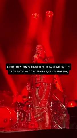 мой тгк: Тупичок Димака #lindemann #rammstein #lyrics #tilllindemann #zunge 