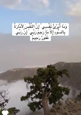 #مشاهدات #creatorsearchinsights #قران 