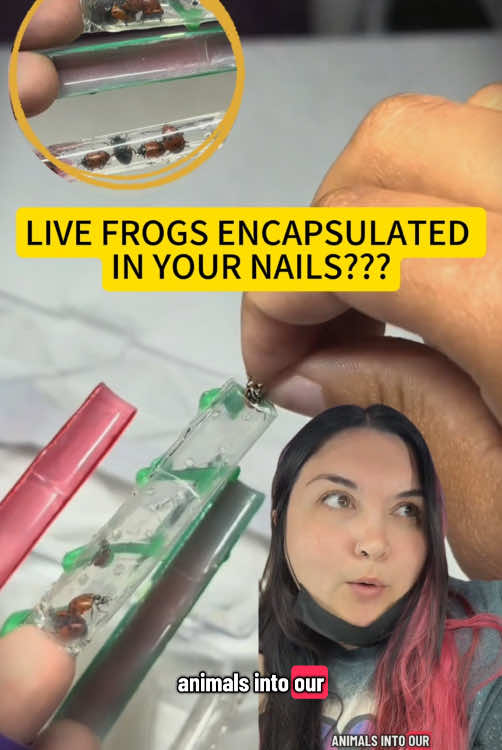 LIVE FROGS ENCAPSULATED IN YOUR NAILS #nailtech #drama #animals #nailtechcontroversy #dramatiktok
