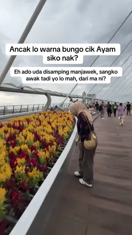 Ndak yo mirip bungo cik ayam tu?