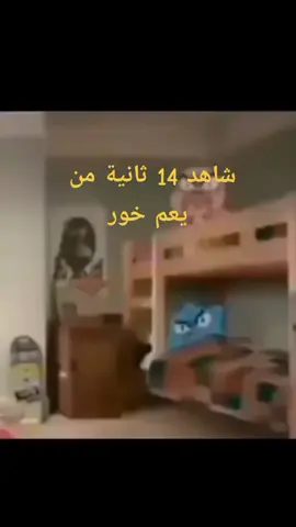 #fyp #fy #foryoupage #viral_video #fyyyyyyyyyyyyyyyy #fypp 
