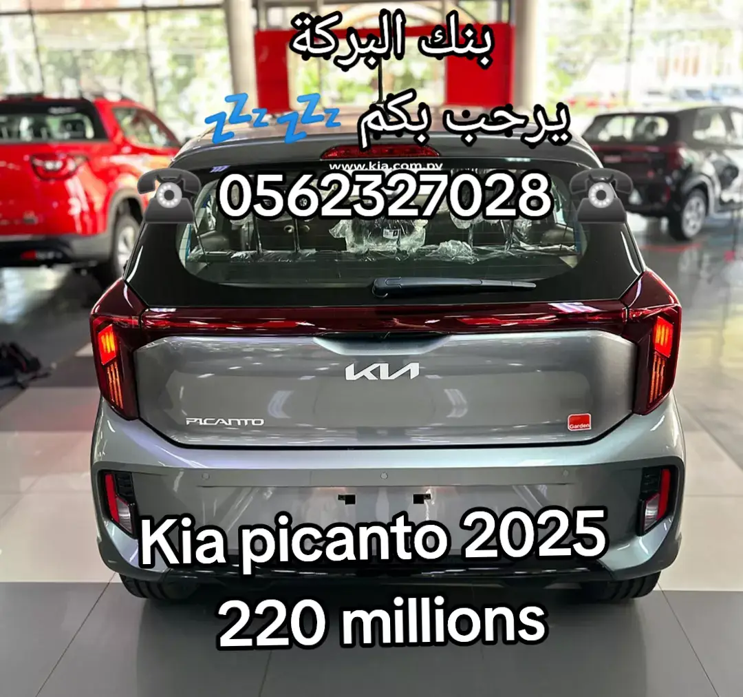 #kiapicanto2025  #clio5rsline  #opelastra 