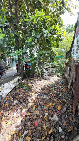 Môt điểm rác bị tắc nghẽn #cleanuptheworld #saigonxanh 