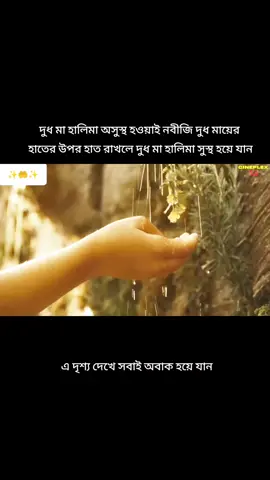 দুধ মা হালিমা অসুস্থ হওয়ায় নবীজি তার দুধ মায়ের হাতের উপর হাত রাখলে দুধ মা হালিমা সুস্থ হয়ে যান! এ দৃশ্য দেখে সবাই অবাক হয়ে যান!