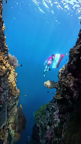 From emerald seas to towering peaks, Indonesia’s beauty is our greatest freedom a land as vast and vibrant as our spirit of independence. Cr/ig: Divediaryjen 📍Indonesia #WonderfulIndonesia #IndonesiaIndependence #FreedomToExplore #TravelIndonesia
