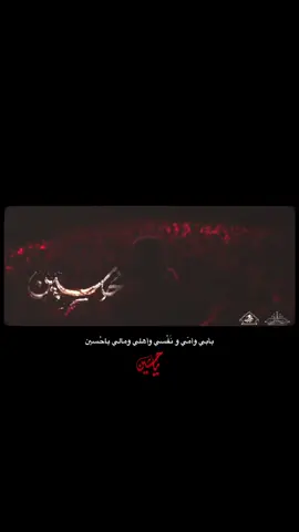 #ياحسين_ياشهيد_كربلاء #سيدسلام_الحسيني #محرم_الحسين 