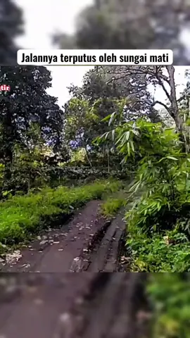 saksikan video fullnya diyoutube penjelajah amatir #petualangan #penjelajahamatir 