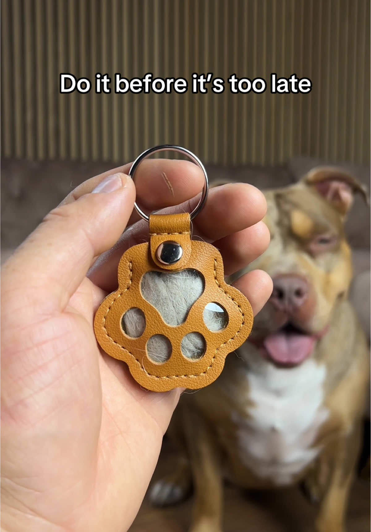 The best gift for every dog owner that wants to keep his memories forever ♥️🐾